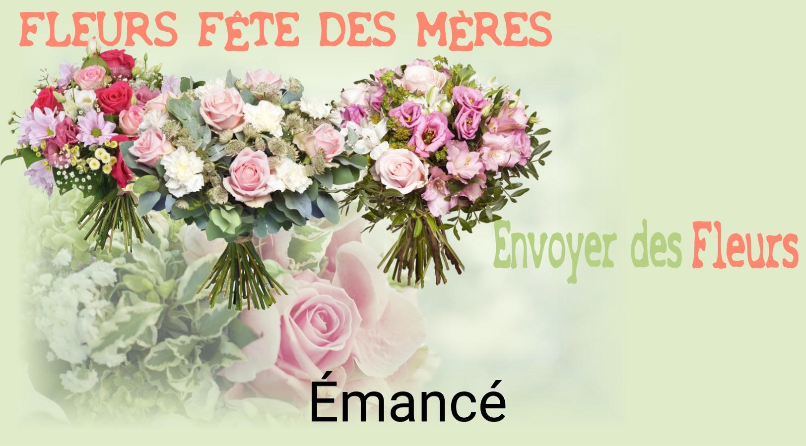 Bouquet de Fête des Mères livré à Émancé